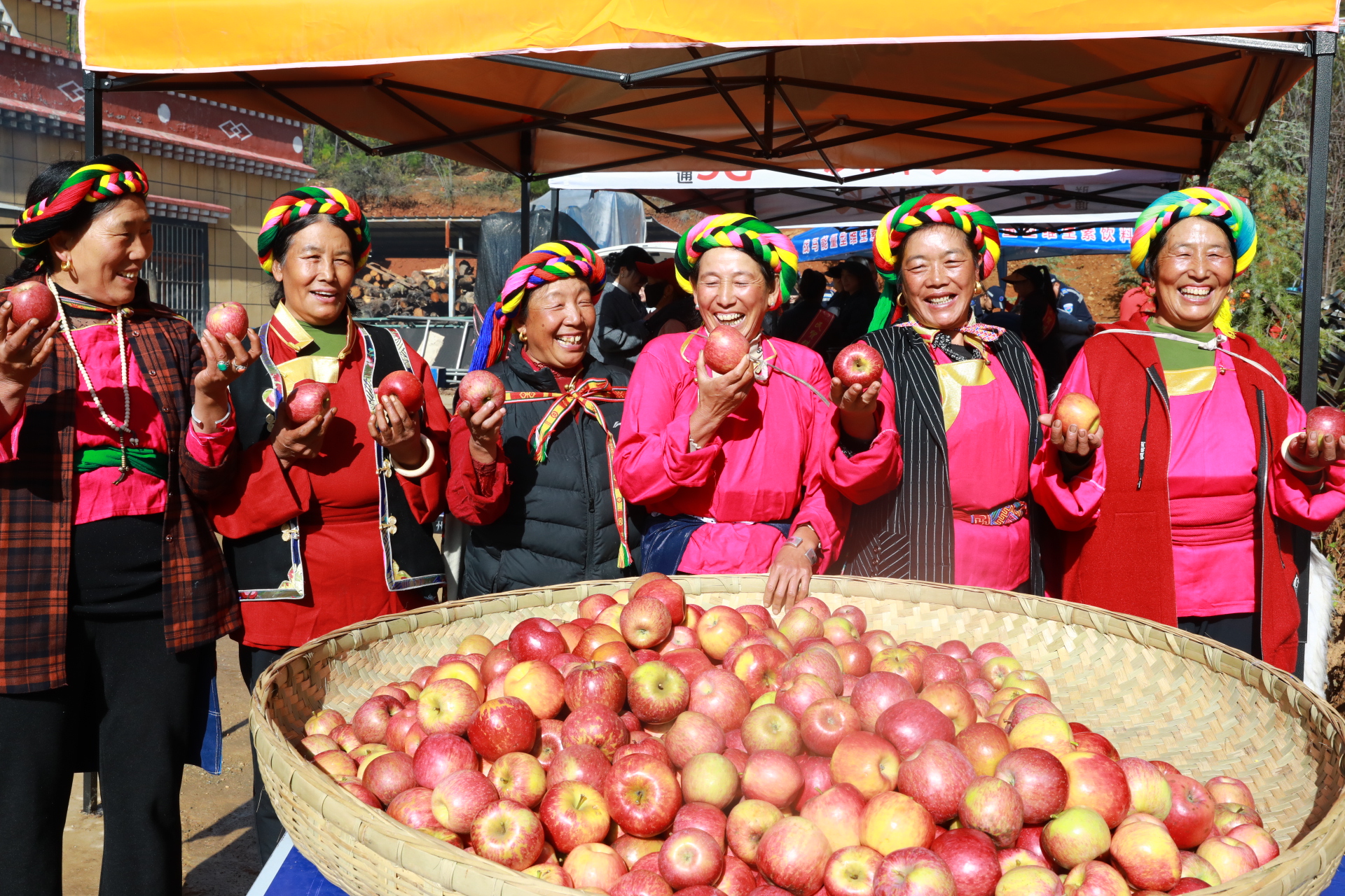 尼西鄉舉辦第四屆情舞節暨蘋果采摘節